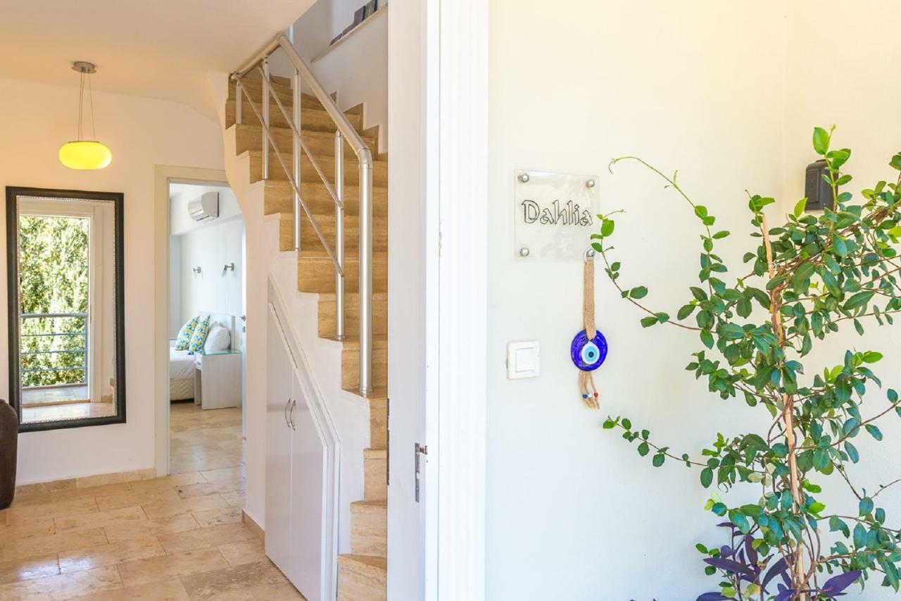Dahlia Penthouse - Beautiful Luxurious Private Pool Fantastic Harbour Views Apartment *