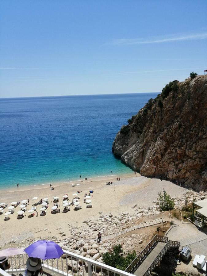 Apartment Dahlia Penthouse - Beautiful Luxurious Private Pool Fantastic Harbour Views